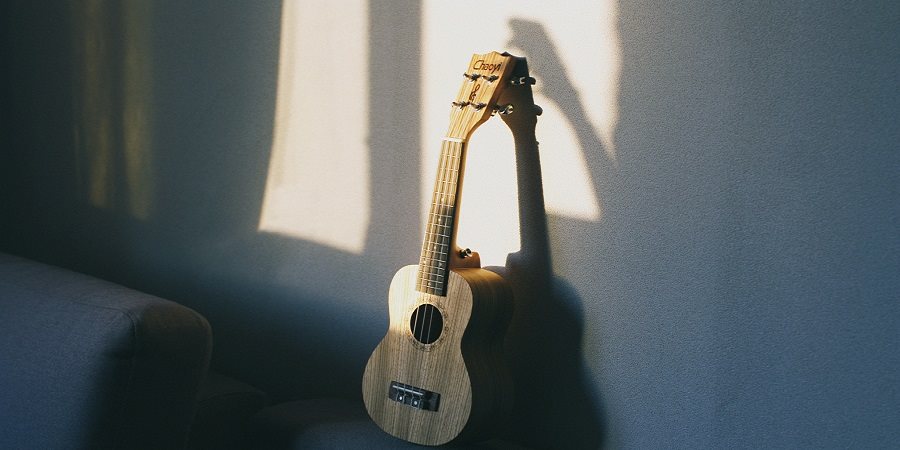 https://cdn.alza.cz/Foto/ImgGalery/Image/Article/lgthumb/ukulele first_1.jpg